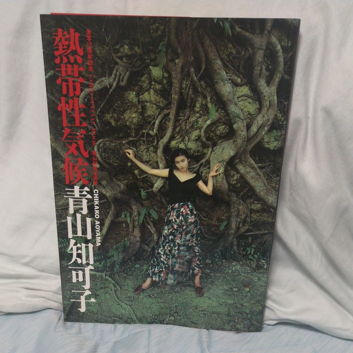 青山知可子 写真集「熱帯性気候」 篠山紀信 撮影