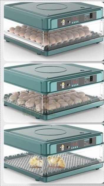  high quality * recommendation * newest automatic . egg vessel in kyu Beta -. temperature vessel birds exclusive use . egg vessel .. vessel automatic rotation egg type a Hill chicken egg a Hill .... temperature .. vessel (9 sheets ) B243