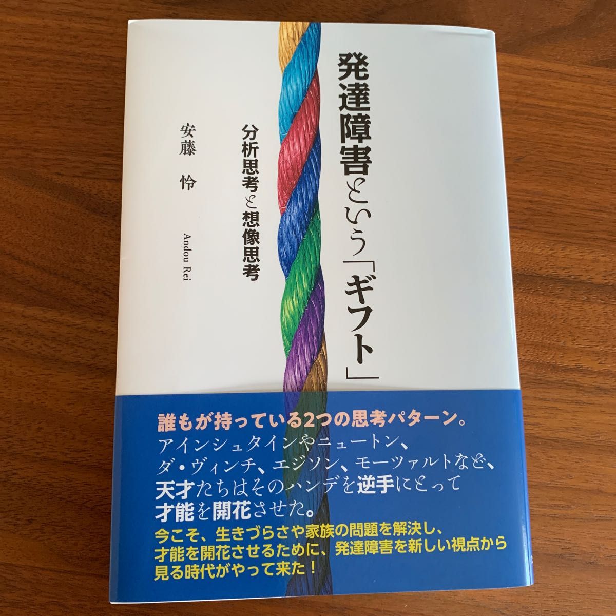 発達障害という「ギフト」　分析思考と想像思考 安藤怜／著