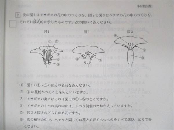 UU13-121 市進教育グループ 小6 理科 集中特訓講座AC 状態良い 05s2B_画像4