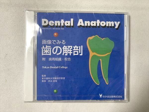 TY33-056 わかば出版 Dental Anatomy 画像でみる 歯の解剖 DVD1枚 未使用品 2002 11 s3B_画像1