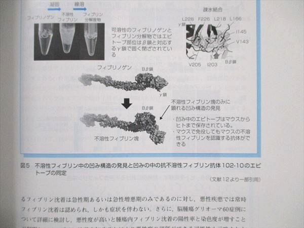 UW21-010 メディカルレビュー社 再生医療 日本再生医療学会雑誌 vol.18 Issue03 2019年8月号 04s3B_画像4