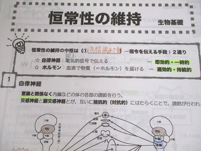 UW12-169 河合塾 生物基礎(共通テスト対応) 演習/解説編 テキスト 2020 基礎/完成シリーズ 計3冊 10m0B_画像5