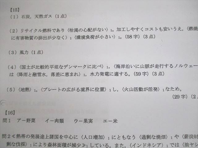 UW11-104 駿台 地理演習(記述・論述対策) テキスト 2021 通年 井上宏昭 13m0C_画像6