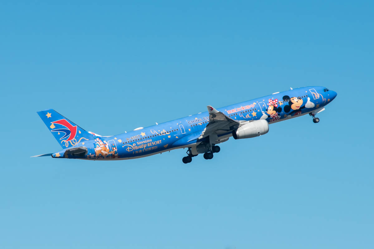  самолет цифровой изображение сверху море Disney Land сотрудничество 3 серийный номер China восток person авиация 2