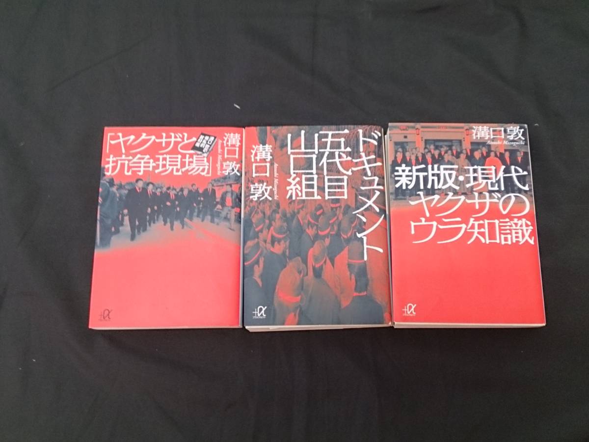 【佐川発送】出版社複数　書籍19点セット　01_画像8