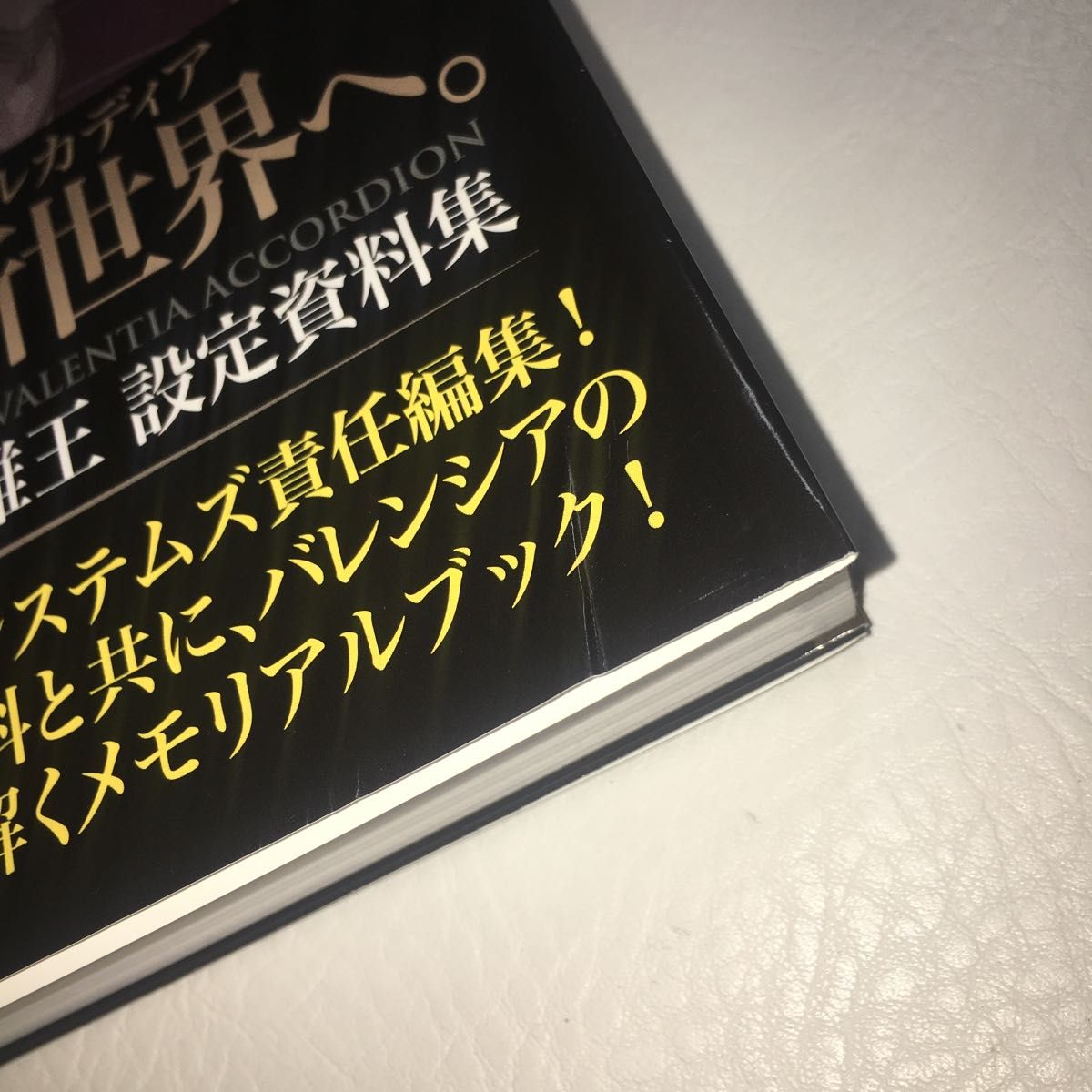 設定資料集 ファイアーエムブレムEchoesもうひとりの英雄王 設定資料集 ファイアーエムブレムEchoesもうひとりの英雄王