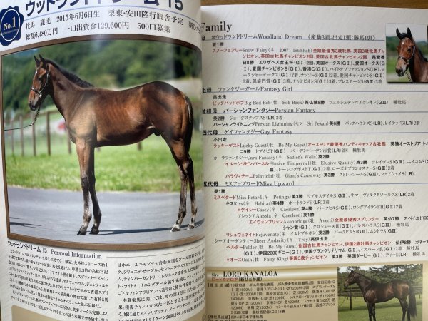 特3 82370 / 株式会社ロードサラブレッドオーナーズ 2015 募集馬一覧 2015年発行 歴代所属馬紹介 募集馬紹介 ジャズキャット'14_画像3