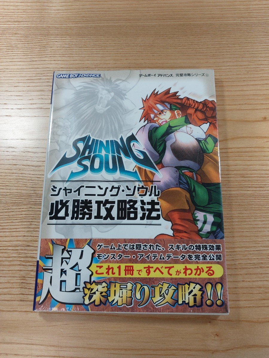 お気に入り Vジャンプ付録小冊子☆風雲カブキ伝/聖剣伝説2 ロール