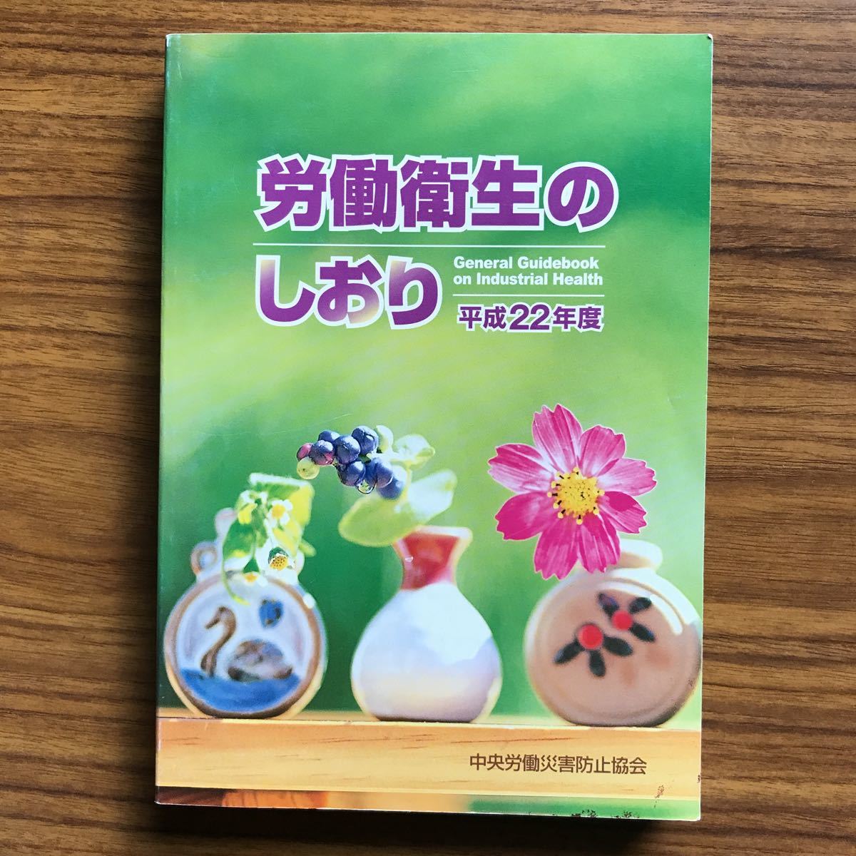 ◆ 労働衛生のしおり　平成22年度　中央労働災害防止協会　平成22年8月11日発行 9784805913109