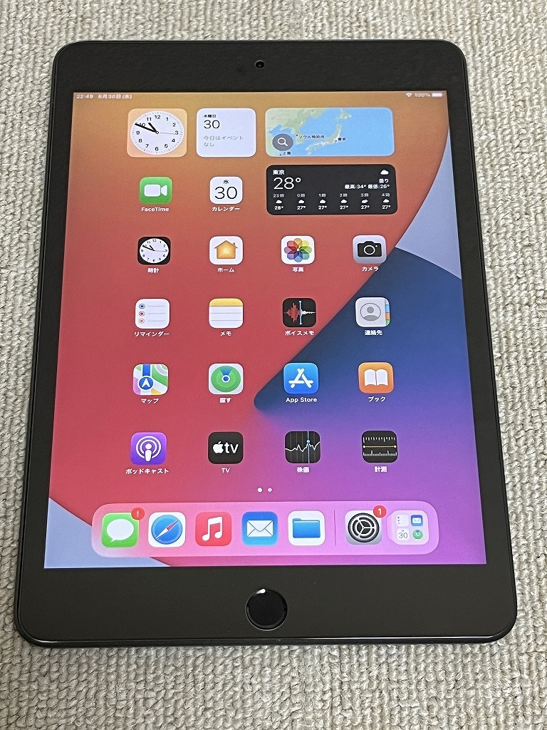 ふるさと納税 ipad mini（第5世代）64GB Wifiモデル 中古品 iPad本体