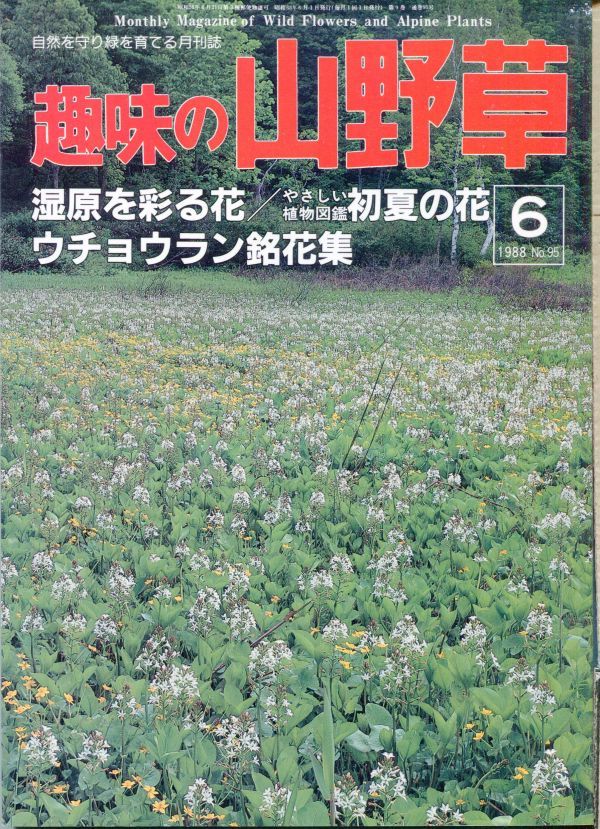 F23〇趣味の山野草　1988年6月号　特集：湿原を彩る花　ウチョウラン (2308)_画像1