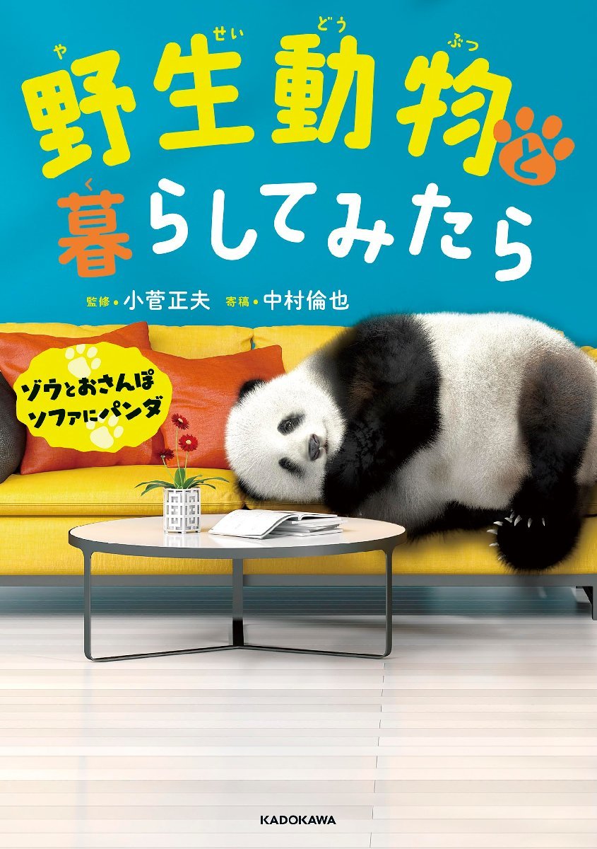 .. животное . жизнь temi .. слон .. san . диван . Panda 