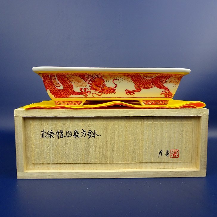 盆栽鉢 月香 小型 長辺 約17.4cm 長方鉢 外縁 赤絵 龍 共布 共箱 現品 新品_画像1