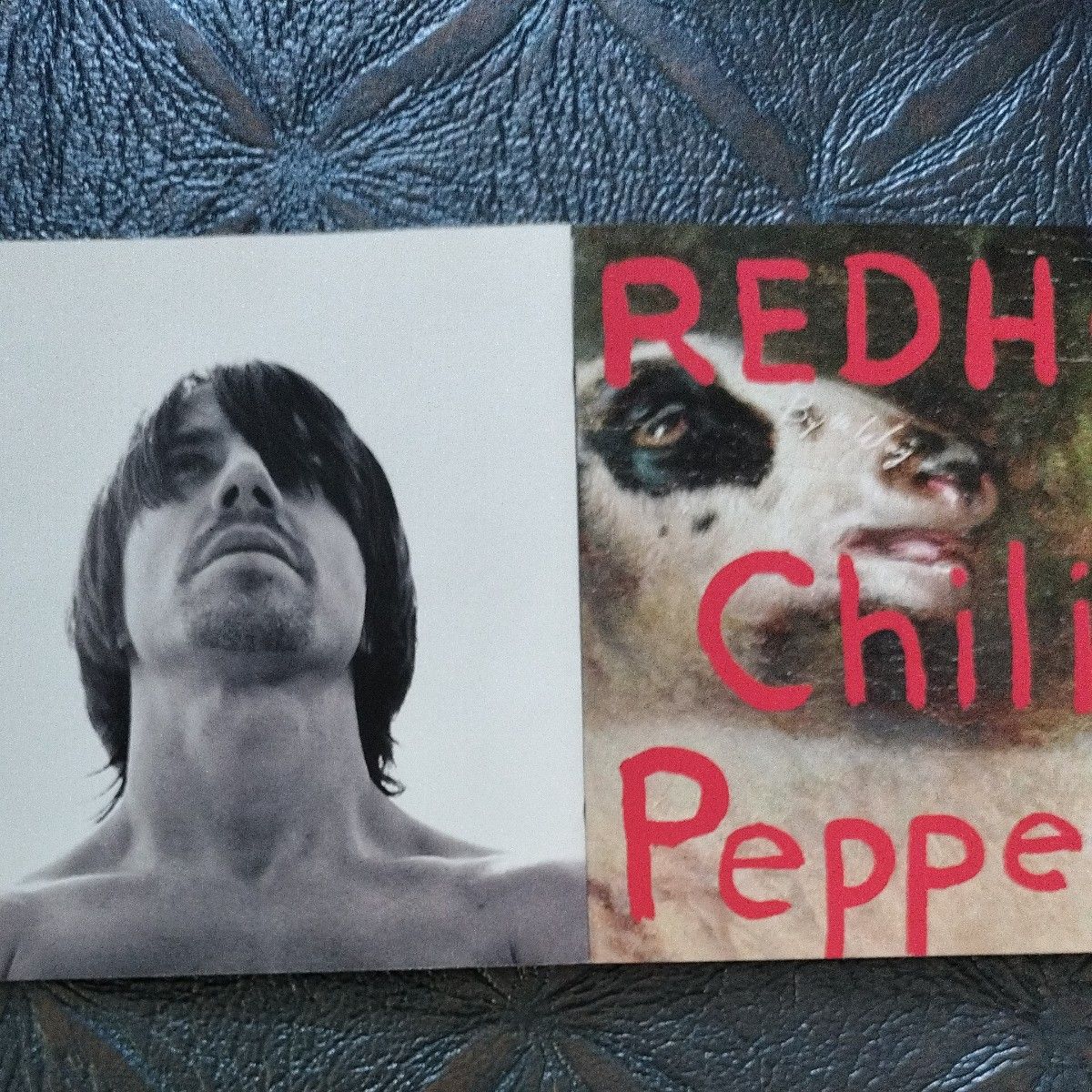 RED HOT Chili PepperS / By the Way 【輸入盤CDアルバム】＋【国内盤DVDシングル】