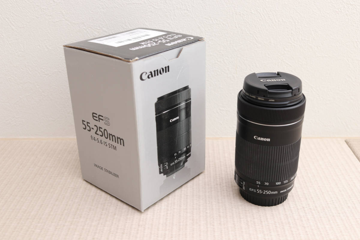Canon EF-S 55-250mm F4-5.6 IS STM キャノン 望遠 中古 美品(キヤノン