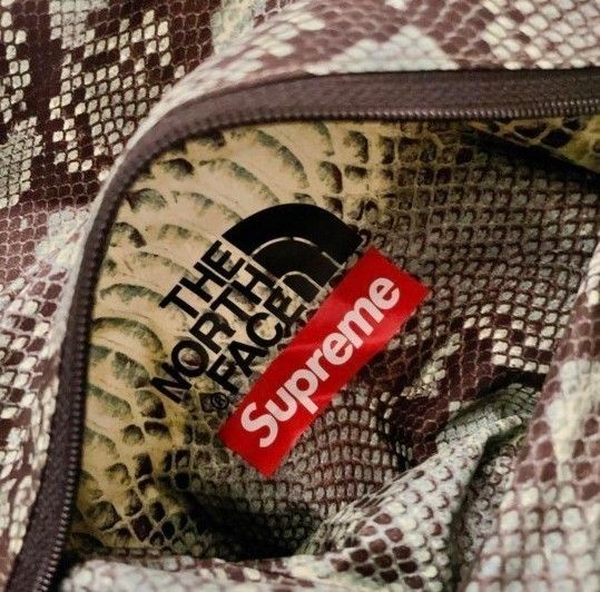 Supreme THE NORTH FACE スネーク コーチジャケット シュプリーム