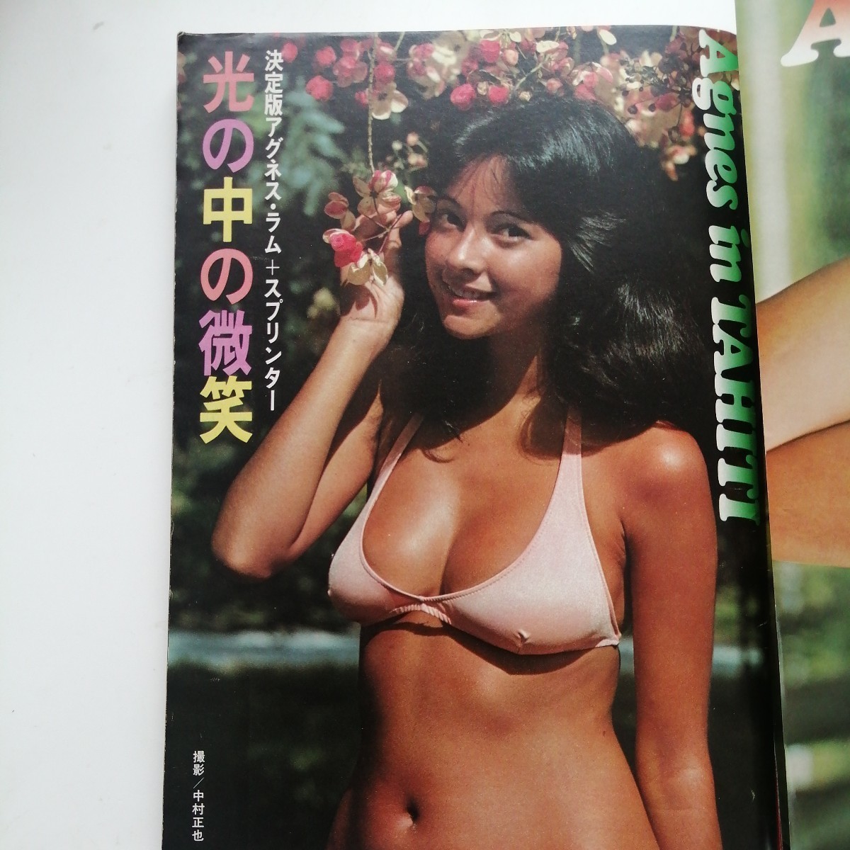 週刊プレイボーイ 昭和51年5月11日号 アグネス・ラム(グラビア+ 週刊プレイボーイ 昭和51年5月11日号 アグネス・ラム(グラビア+