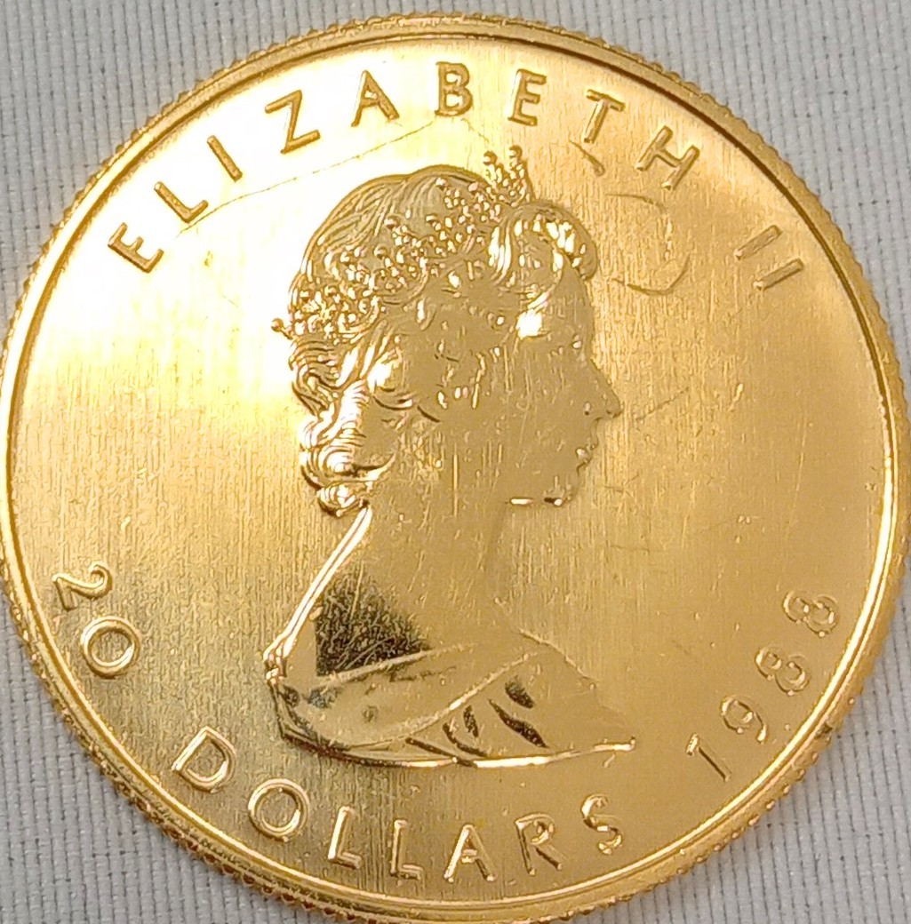 K24 1/2oz メイプルリーフ金貨 コイン 15.5g ゴールド_画像3