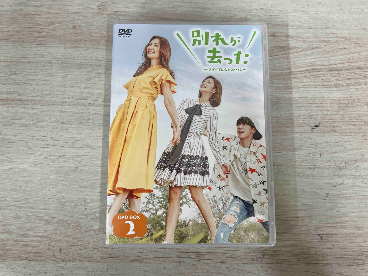 2022秋冬新作】 DVD 別れが去った~マイ・プレシャス・ワン~ DVD-BOX2