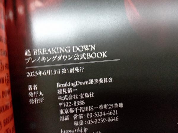 超BREAKING DOWN ブレイキングダウン公式BOOK BreakingDown運営委員会_画像4