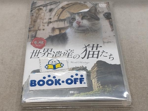 DVD シンフォレストDVD 世界遺産の猫たち Cats of the World Heritage_画像1