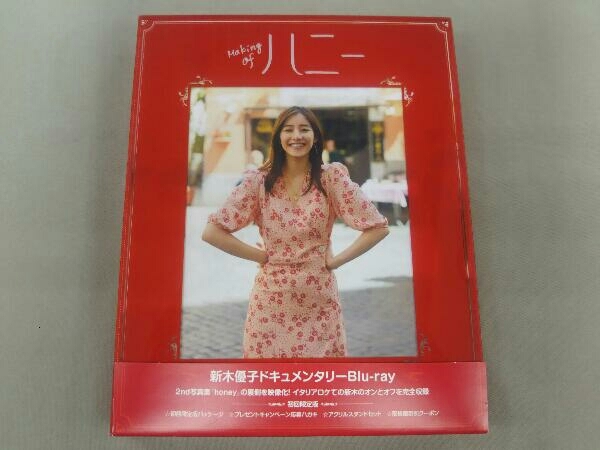 帯あり 新木優子『Making of ハニー』(初回限定版)(Blu-ray Disc)の画像1