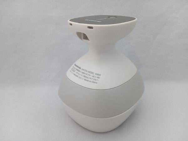 適切な価格 Panasonic 美容家電(28-08-08) EH-HE0G 頭皮エステ