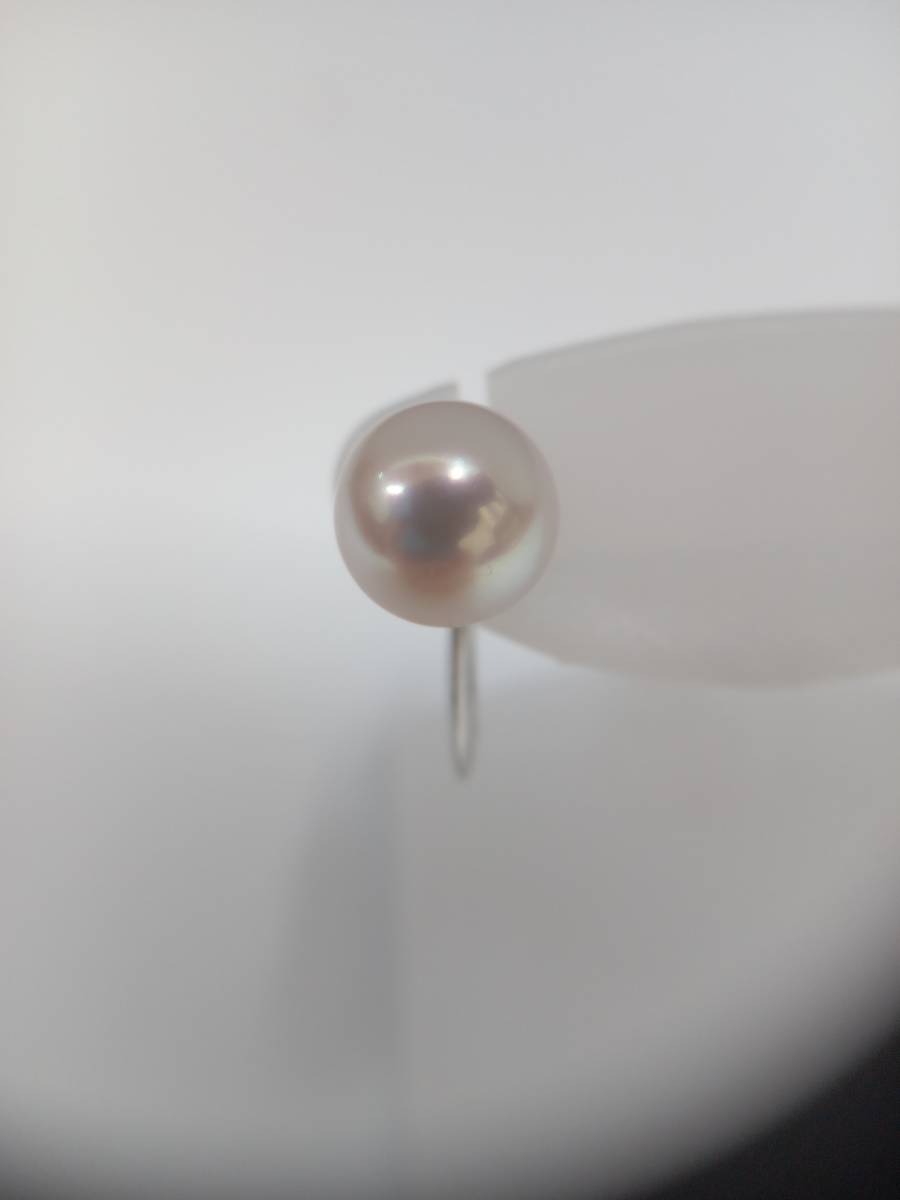 TASAKI SINJU K14WG one-side ear earrings brand accessory pearl attaching pearl rice field cape white gold store receipt possible 