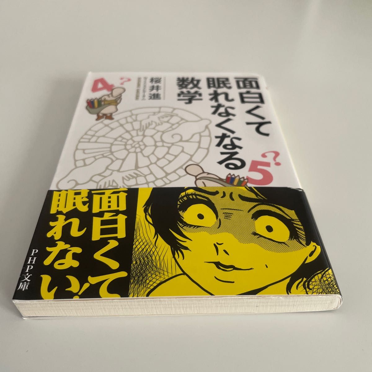 面白くて眠れなくなる数学 （ＰＨＰ文庫　さ５１－３） 桜井進／著