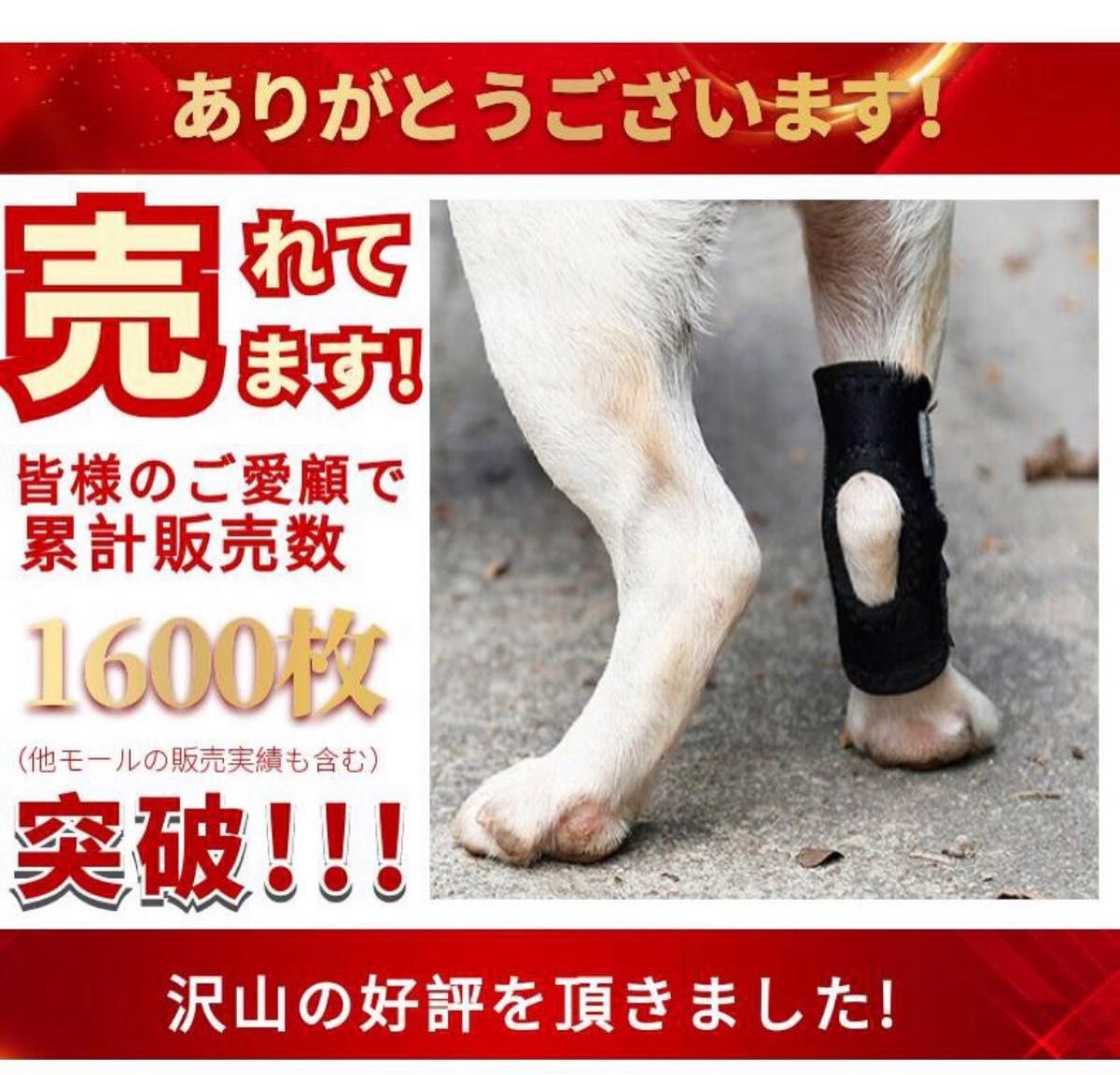 【新品】犬 関節 サポーター ［M］２個セット　リハビリ 怪我防止 骨折治療 捻挫 筋挫傷 介護