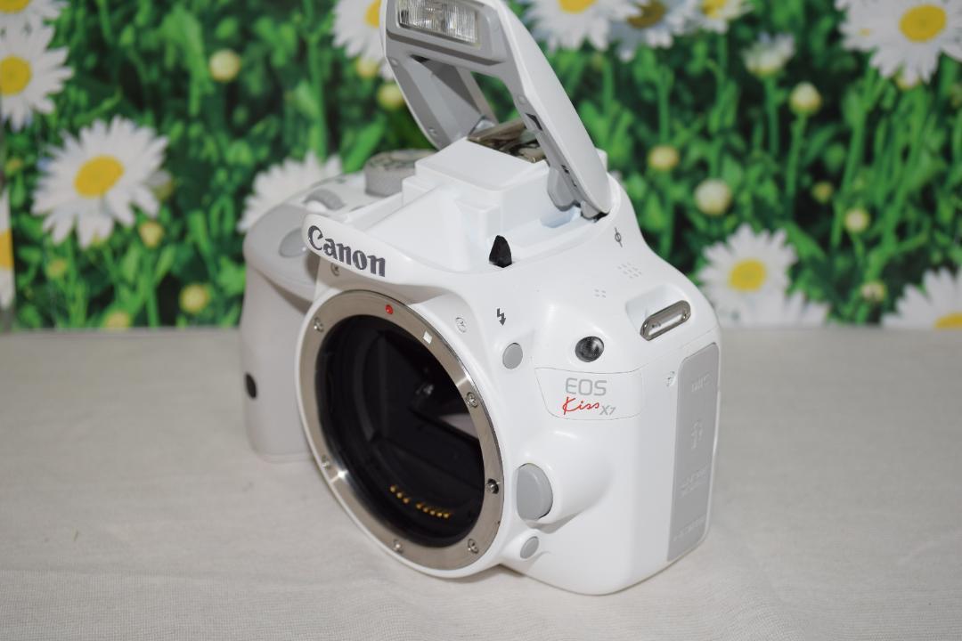 極美品☆Canon EOS kiss X7☆スマホに転送！☆ダブルレンズ！ - カメラ