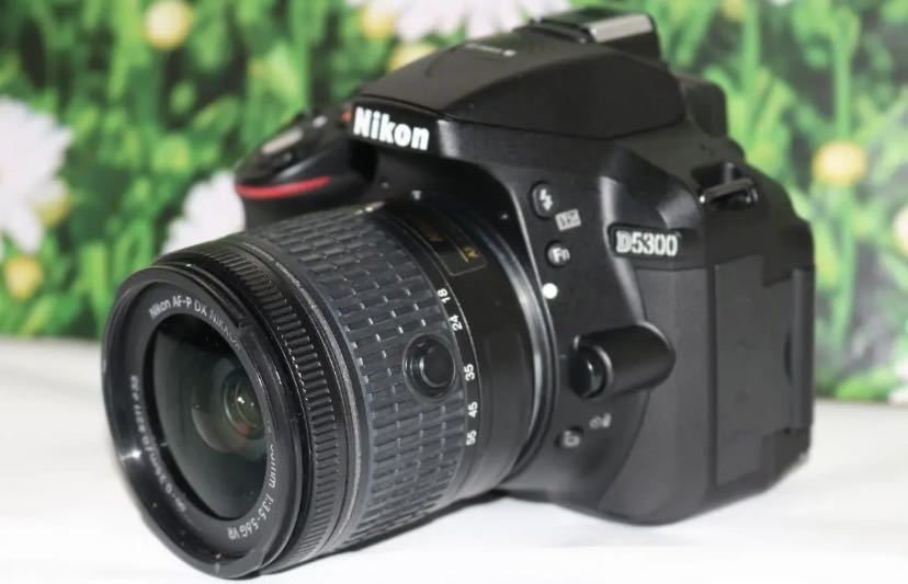 おしゃれ】 超美品ニコン Nikon D5300☆WIFI機能付き！☆付属品多数