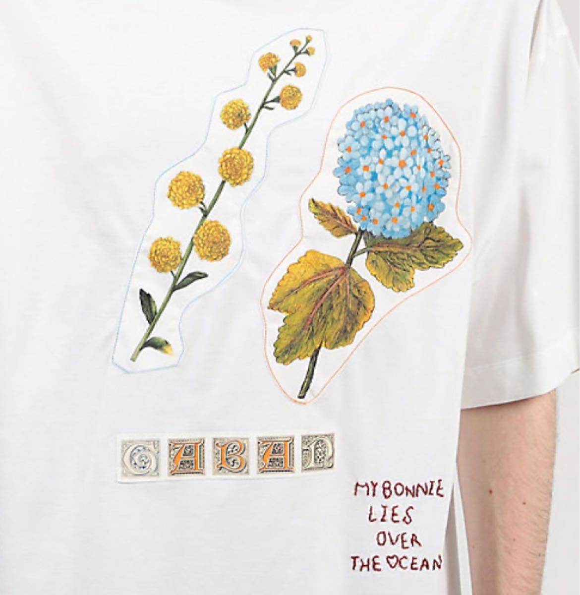 CABaN キャバン スビンコットン パレルモプリントTシャツ