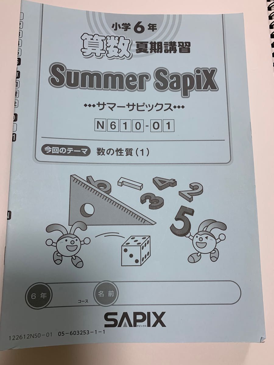 サピックス小学6年　算数　夏期講習　サマーサピックス　Ｎ６１０-０１〜０４、０６〜１８　中学入試