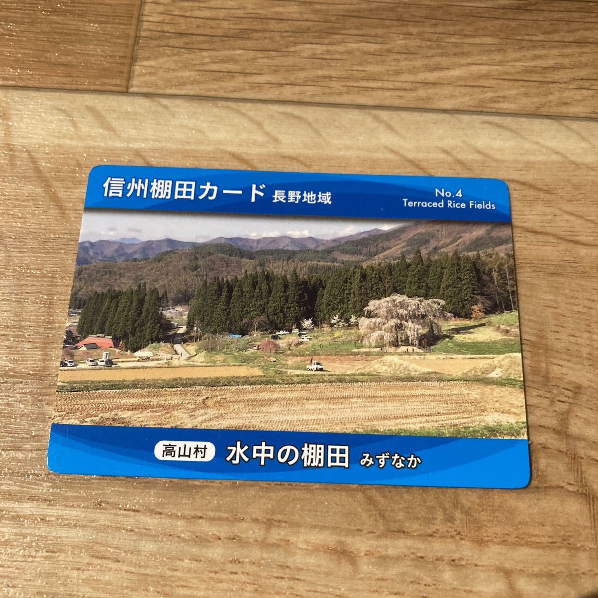 信州棚田カード　水中の棚田　長野県　高山村　公共カード_画像1