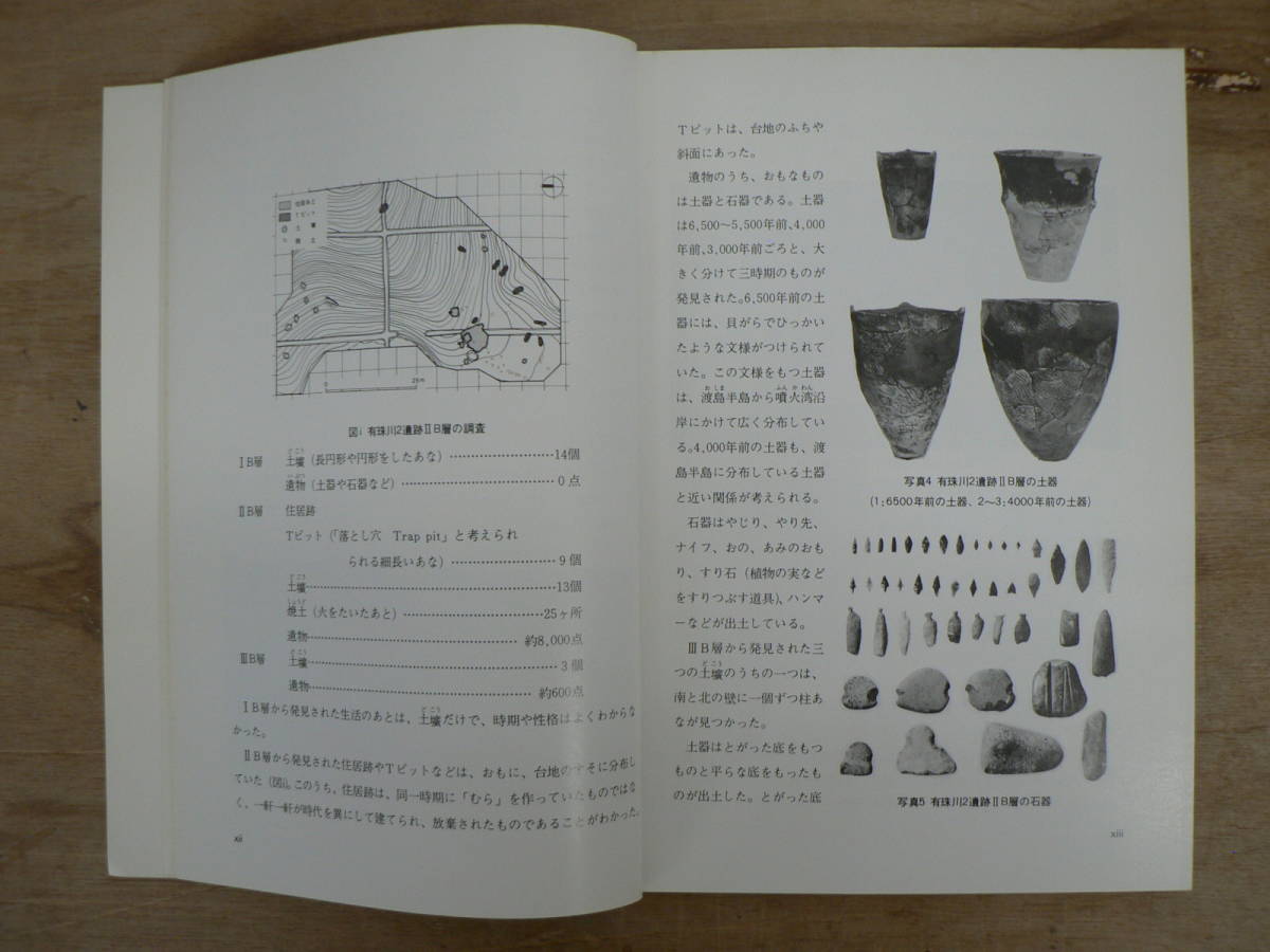 報告書 有珠川2・植苗3遺跡 北海道縦貫自動車道建設用地内埋蔵文化財発掘調査報告書 北海道教育委員会 1979 _画像5