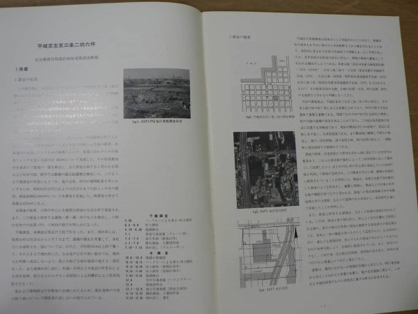 s 平城京左京三條二坊六坪発掘調査概報 奈良国立文化財研究所 昭和51年/奈良県奈良市_画像6