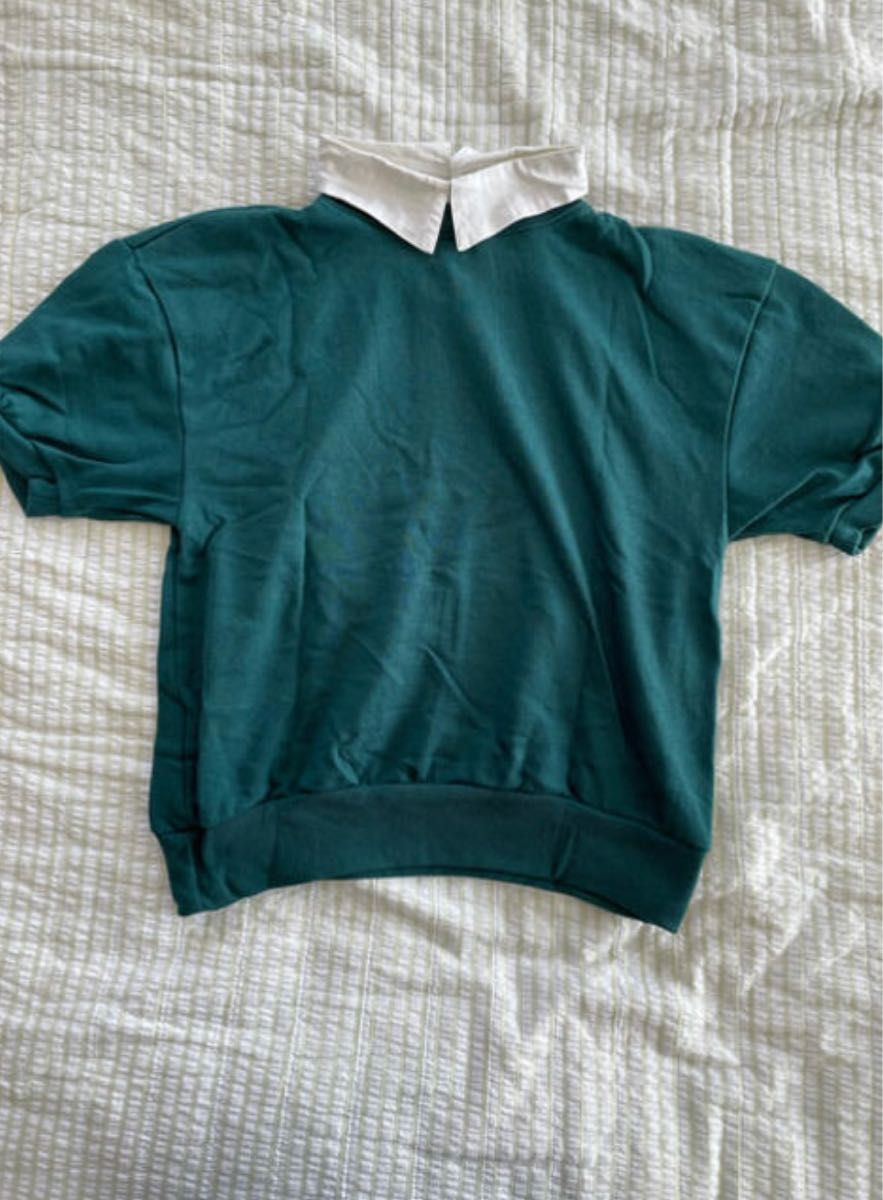 SPINNS / 襟付きトップス Tシャツ Mサイズ