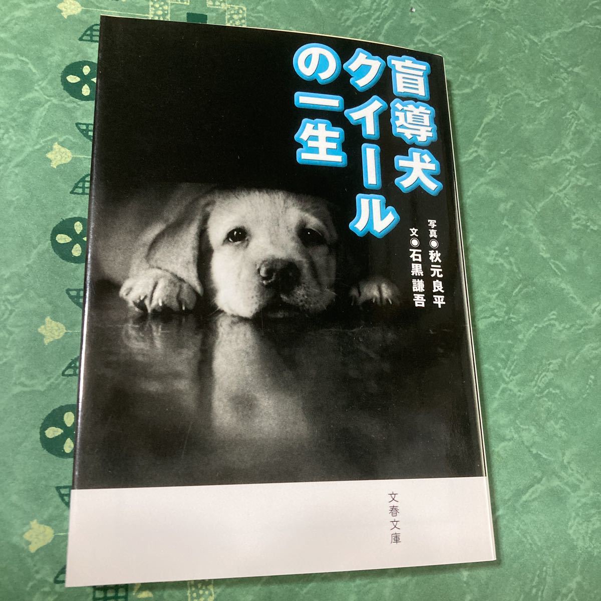 【 подержанный товар 】... собака ...   1...  фотография  *   осень  ... ... *   камень  черный ... ... весна  ...  рекомендуемая розничная цена （ сам товар  650  йен + налог  ）