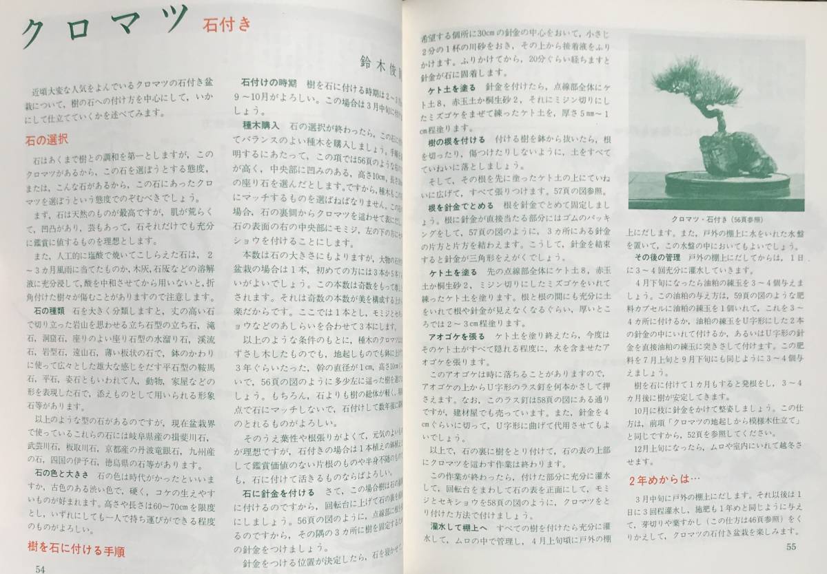 図解松柏盆栽の仕立て方 ガーデンライフ別冊 誠文堂新光社 昭和51年 1976年 盆栽 松柏 松柏盆栽 園芸 解説書_画像10