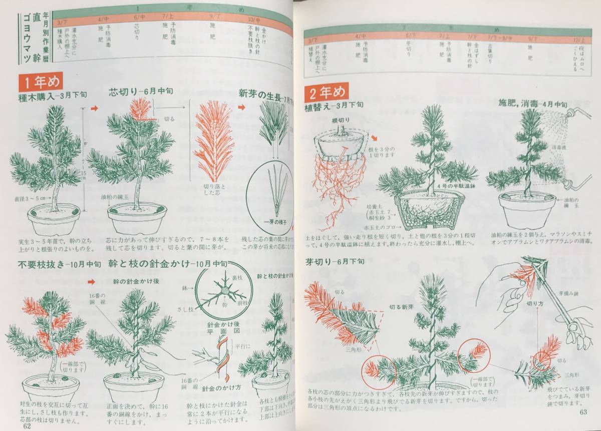 図解松柏盆栽の仕立て方 ガーデンライフ別冊 誠文堂新光社 昭和51年 1976年 盆栽 松柏 松柏盆栽 園芸 解説書_画像9