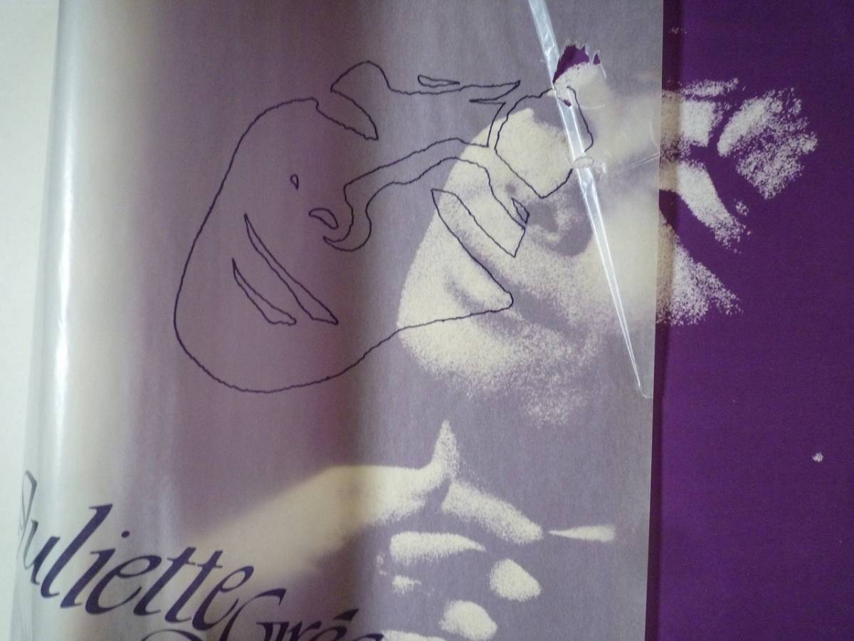 LP☆ Juliette Greco　Custom 20　ジュリエット・グレコ　☆詩人の魂, パリの空の下, 街角. 枯葉, パリカナイユ_画像3