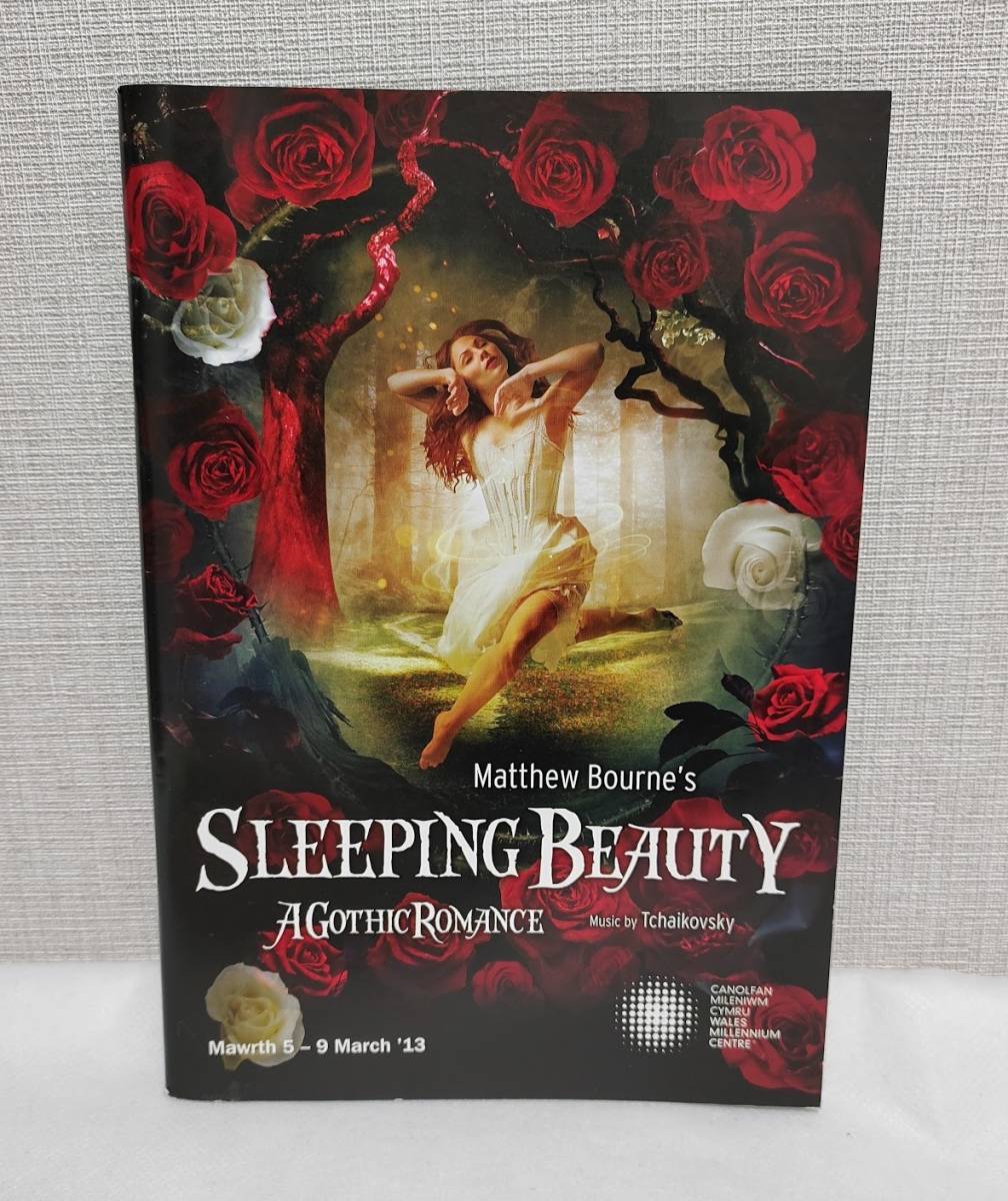  Mai pcs pamphlet /ma shoe *bo-ns Lee pin g beauty ... forest. beautiful woman 2013 year / English / Matthew Bourne\'s Sleeping Bauty