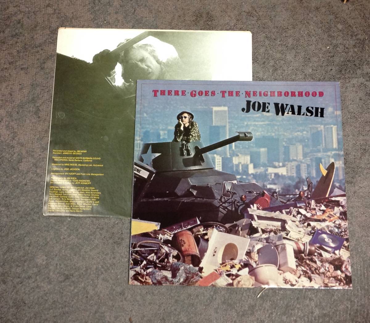 Joe Walsh 1 lp , ( ex-Eagles)_画像1