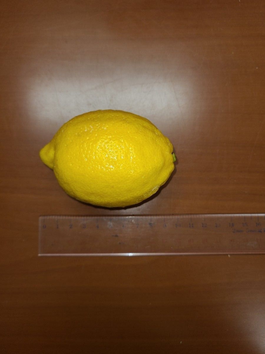 レモン　約65個　9.3kg～10kg お買い得。