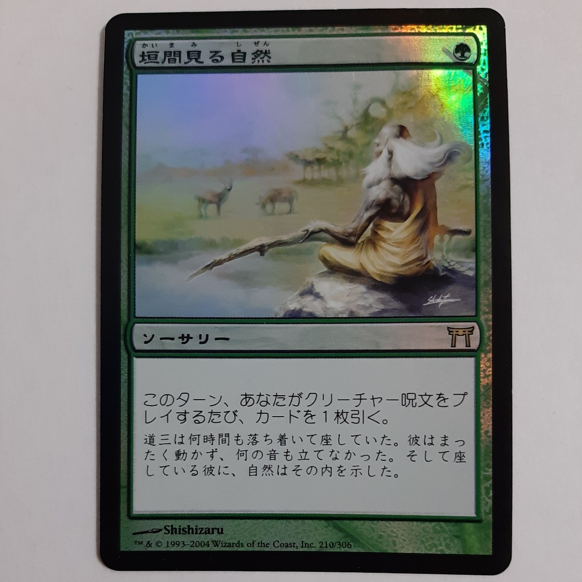 FOIL 垣間見る自然 CHK 日本語版 MTG_画像1