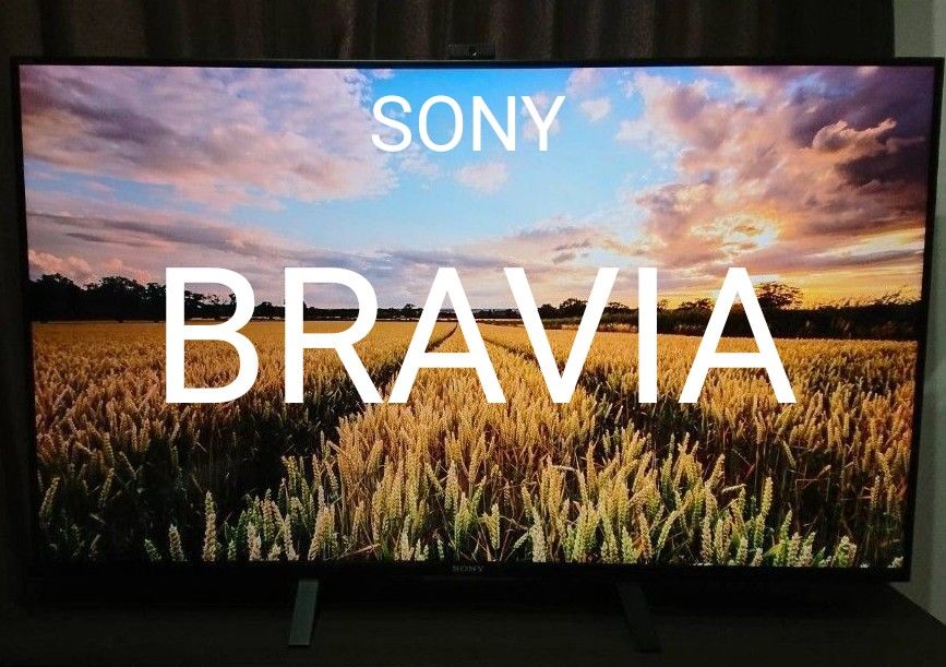 SONY BRAVIA ソニー ブラビア 49インチ 液晶テレビ 4K