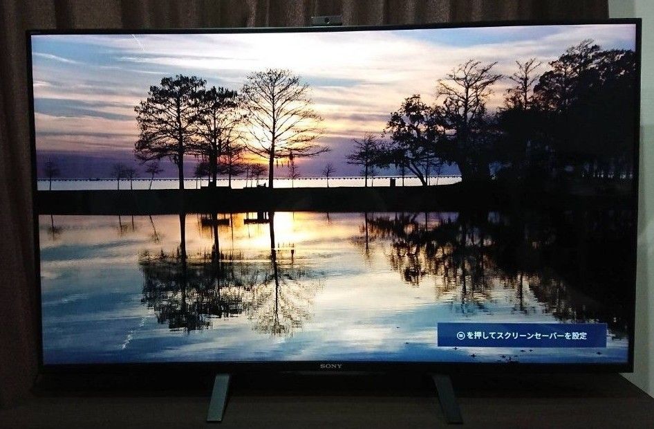 SONY BRAVIA ソニー ブラビア 49インチ 液晶テレビ 4K