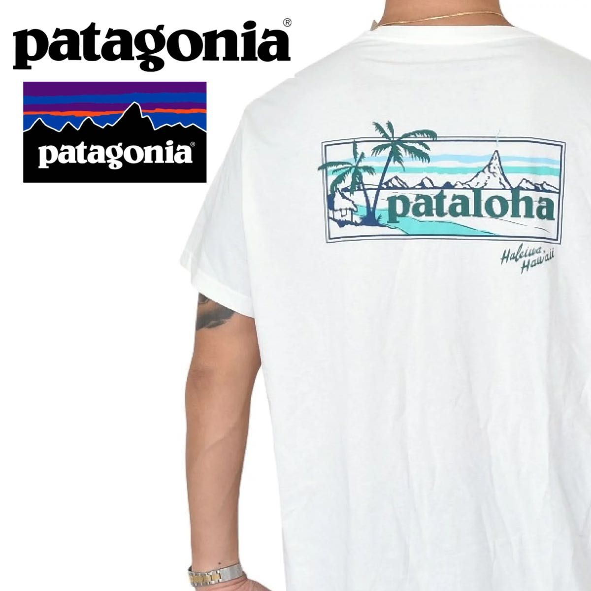 ハワイ限定 Patagonia パタゴニア Tシャツ PATALOHA パタロハ｜PayPay